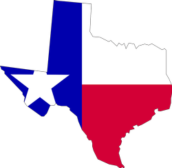 register a business in texas with a delaware llc